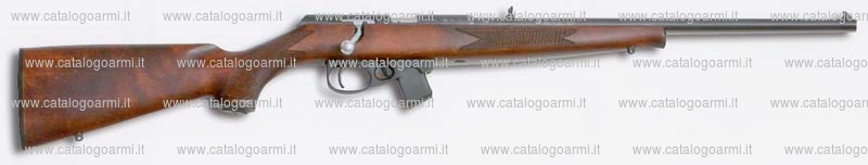 Carabina Winchester modello Wildcat (16661)