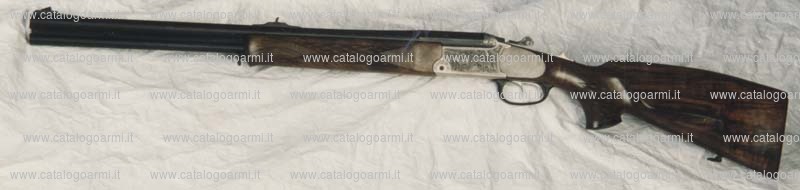 Carabina express BLASER modello B 95 (11518)