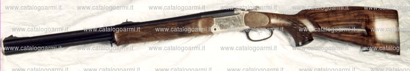 Carabina express BLASER modello B 95 (11811)