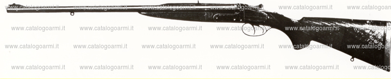 Carabina express Westley Richards modello nessuno (5803)