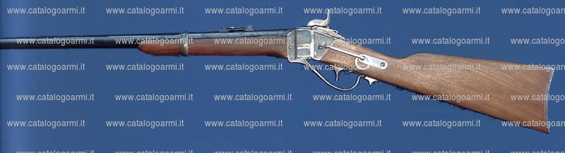 Fucile Armi Sport modello Sharp cavalry (14510)