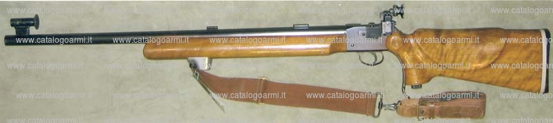 Fucile British Small Arms (BSA) modello Martini International (17261)