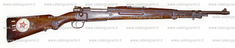 Fucile D.W.M. modello Mauser 1907 Brasiliano (15210)