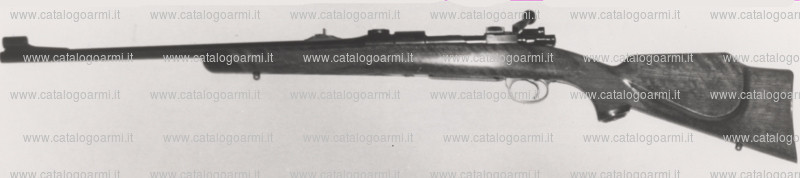 Fucile Hammerli modello System Mauser (6043)