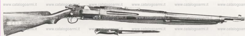 Fucile Krag Jorgensen modello M 1894 (2221)