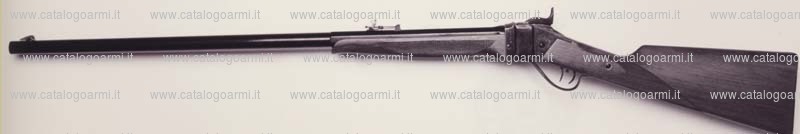 Fucile PEDERSOLI DAVIDE & C modello Sharps Target (10598)