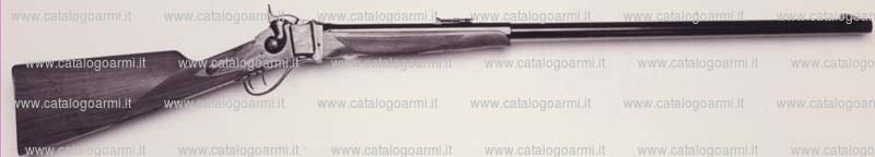 Fucile PEDERSOLI DAVIDE & C modello Sharps Target (10598)