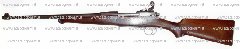 Fucile Remington modello 30 Express (15209)