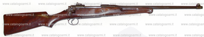 Fucile Remington modello 30 Express (15209)