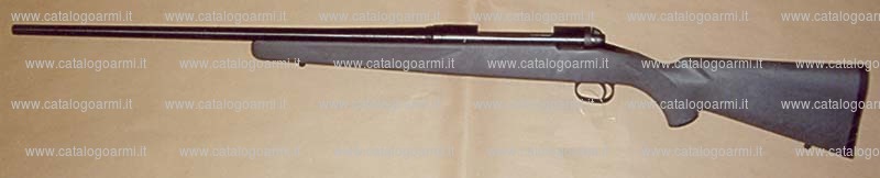 Fucile Savage Arms modello 10 (16994)