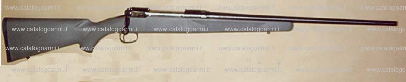 Fucile Savage Arms modello 10 (16994)