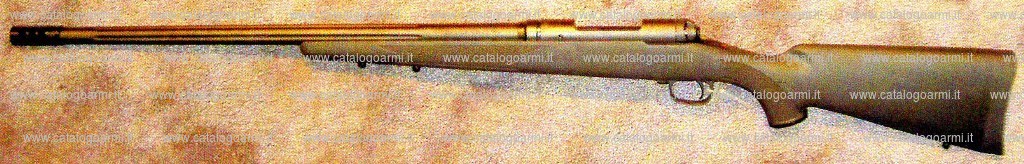 Fucile Savage Arms modello 10 Bat/S (17899)