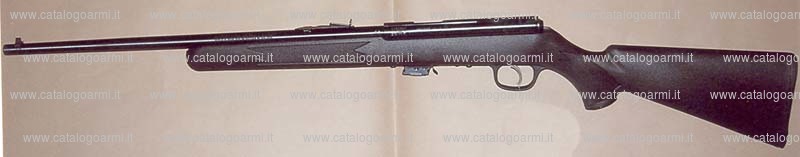 Fucile Savage Arms Canada modello 93 (16674)