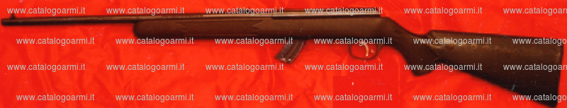 Fucile Savage Arms Canada modello Mark II (15086)