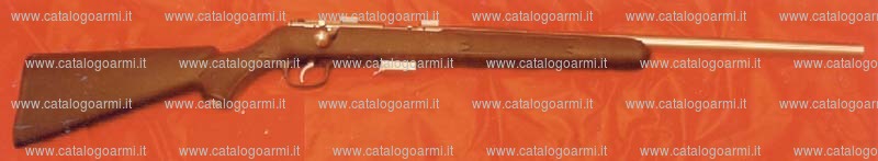 Fucile Savage Arms Canada modello Mark II (15710)