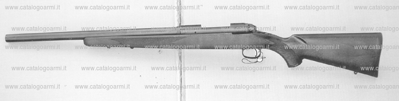 Fucile Savage Arms Inc. modello 10 FP (14995)