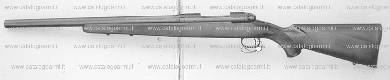 Fucile Savage Arms Inc. modello 10 FP (14996)