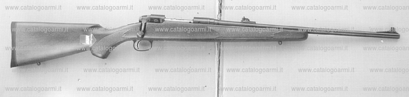 Fucile Savage Arms Inc. modello Sierra 10 FM (14999)