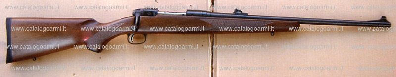 Fucile Savage Arms Inc. modello Sierra 10 FM (15000)