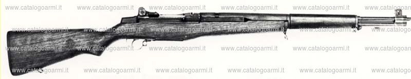 Fucile Springfield modello Standard Issue M 1 (3852)