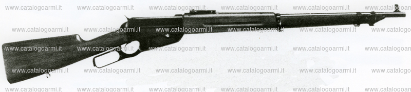 Fucile Winchester modello 95 Musket (6116)