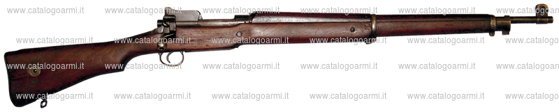 Fucile Winchester modello P 14 (15289)