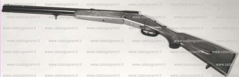 Fucile combinato BLASER modello ES 63 (2147)