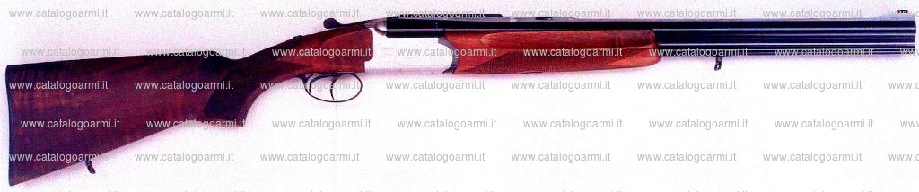 Fucile express BENELLI ARMI modello X Press One (17994)