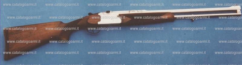 Fucile express Guerini A. modello Roe buck (10962)