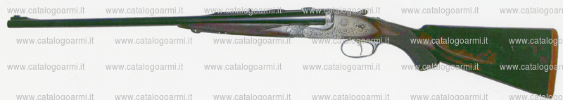 Fucile express Beretta Pietro modello 455 (15271)