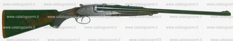 Fucile express Beretta Pietro modello 455 (15271)