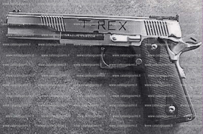 Pistola Amadini modello T-rex Target (mire regolabili) (12266)