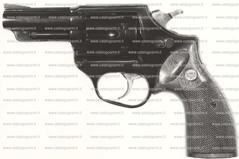 Pistola Astra Arms modello 357 Police (2188)