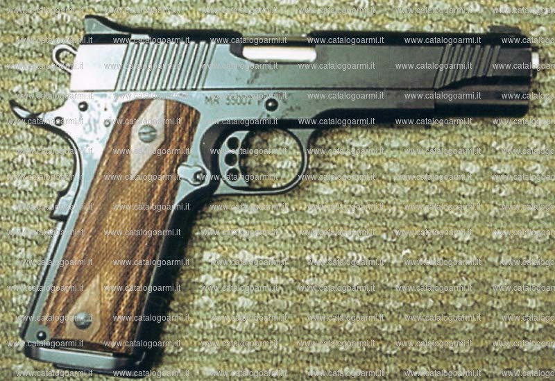 Pistola Bul modello M 5 Classic Government (16586)