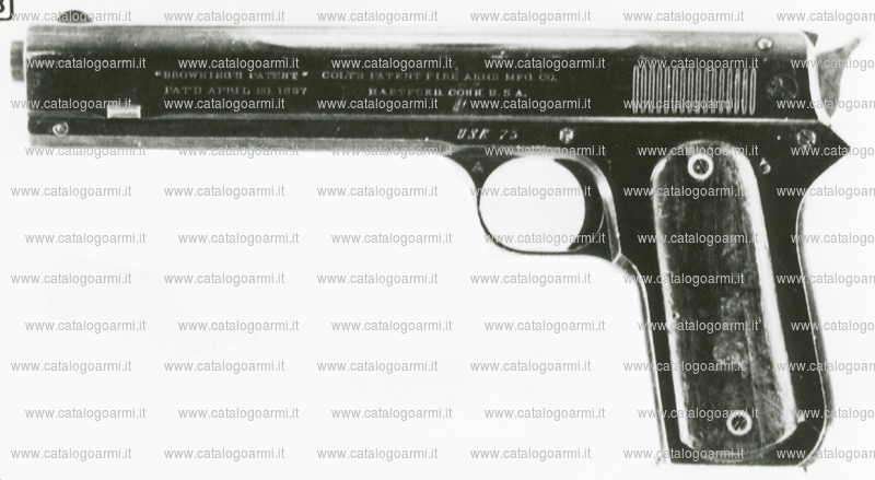 Pistola Colt modello 1900 (7526)