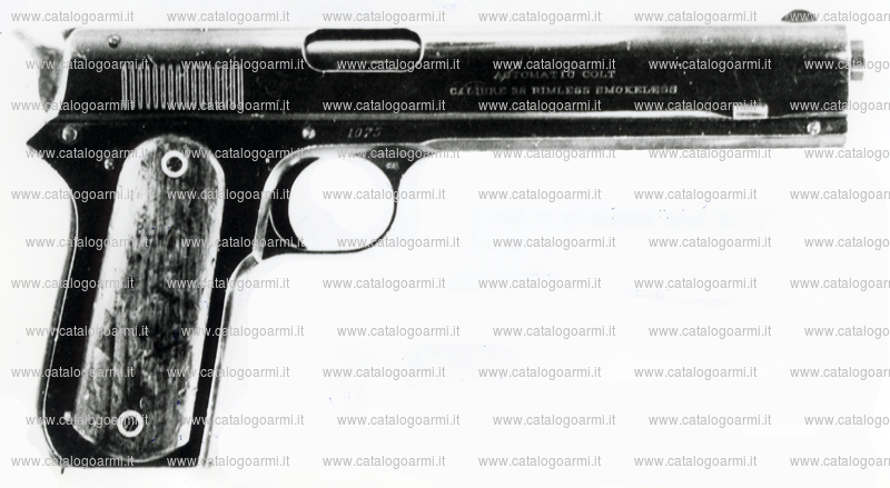 Pistola Colt modello 1900 (7526)