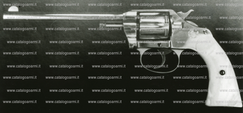 Pistola Colt modello New Police (7540)