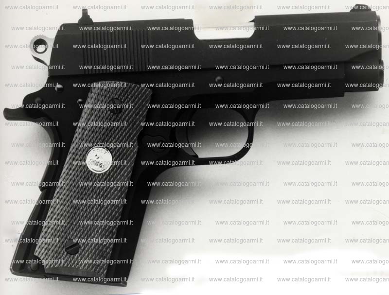 Pistola Colt modello Officer's 45 HP (4299)