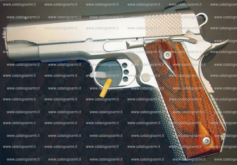 Pistola Ed Brown modello Executive Carry (15466)