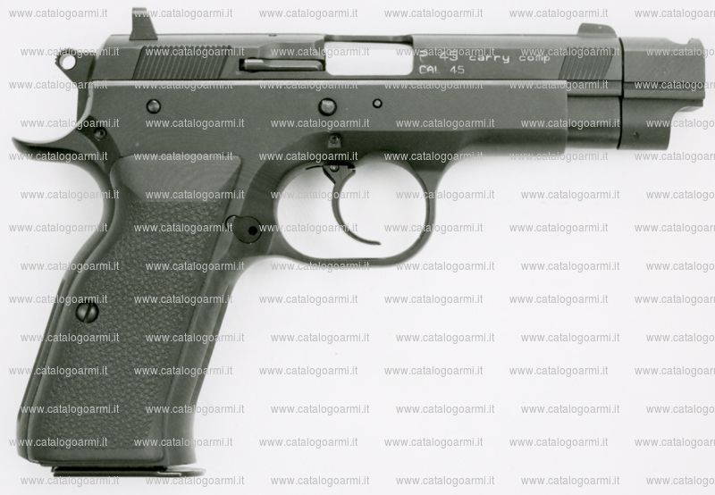 Pistola TANFOGLIO SRL modello P 45 Carry ComP (finitura brunita o cromata) (9416)