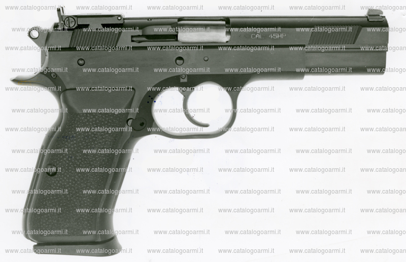 Pistola TANFOGLIO SRL modello P 45 L (tacca di mira regolabile, finitura brunita o cromata) (9964)