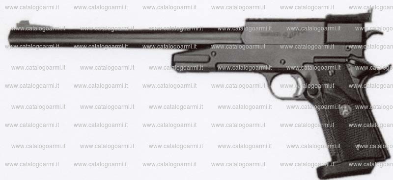 Pistola TANFOGLIO SRL modello Raptor (12240)