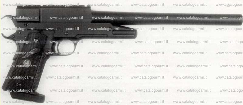 Pistola TANFOGLIO SRL modello Raptor (12240)