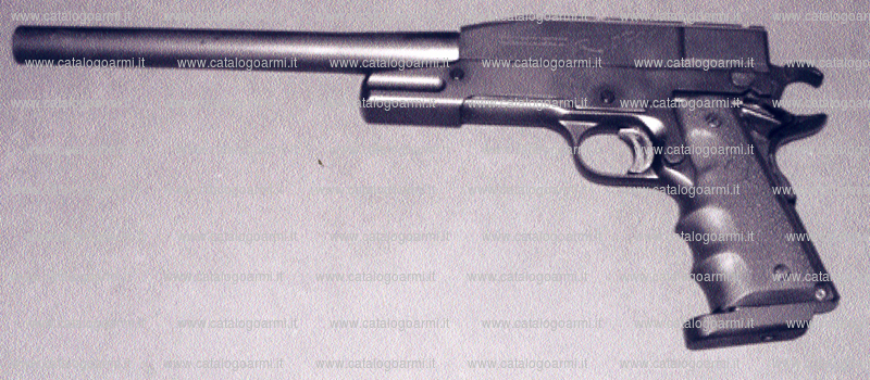 Pistola TANFOGLIO SRL modello Raptor (15276)