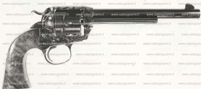 Pistola Jager modello 1894 (2558)