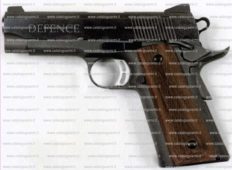 Pistola Mateba modello Defense (12711)