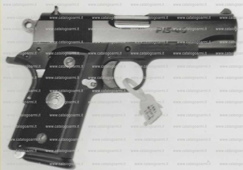 Pistola Para Ordnance modello P 15-40 (10353)