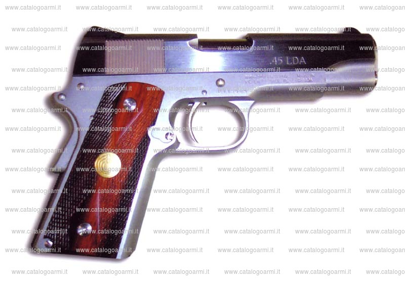 Pistola Para Ordnance modello Para VVW. 45 LDA (14067)