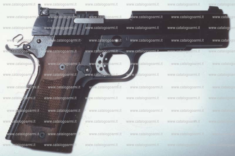 Pistola Peters Stahl modello PSP 2000 match (tacca di mira a regolazione micrometrica) (11180)