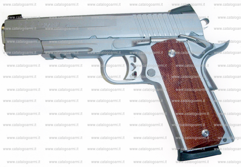 Pistola Sig Arms modello GSR (15118)